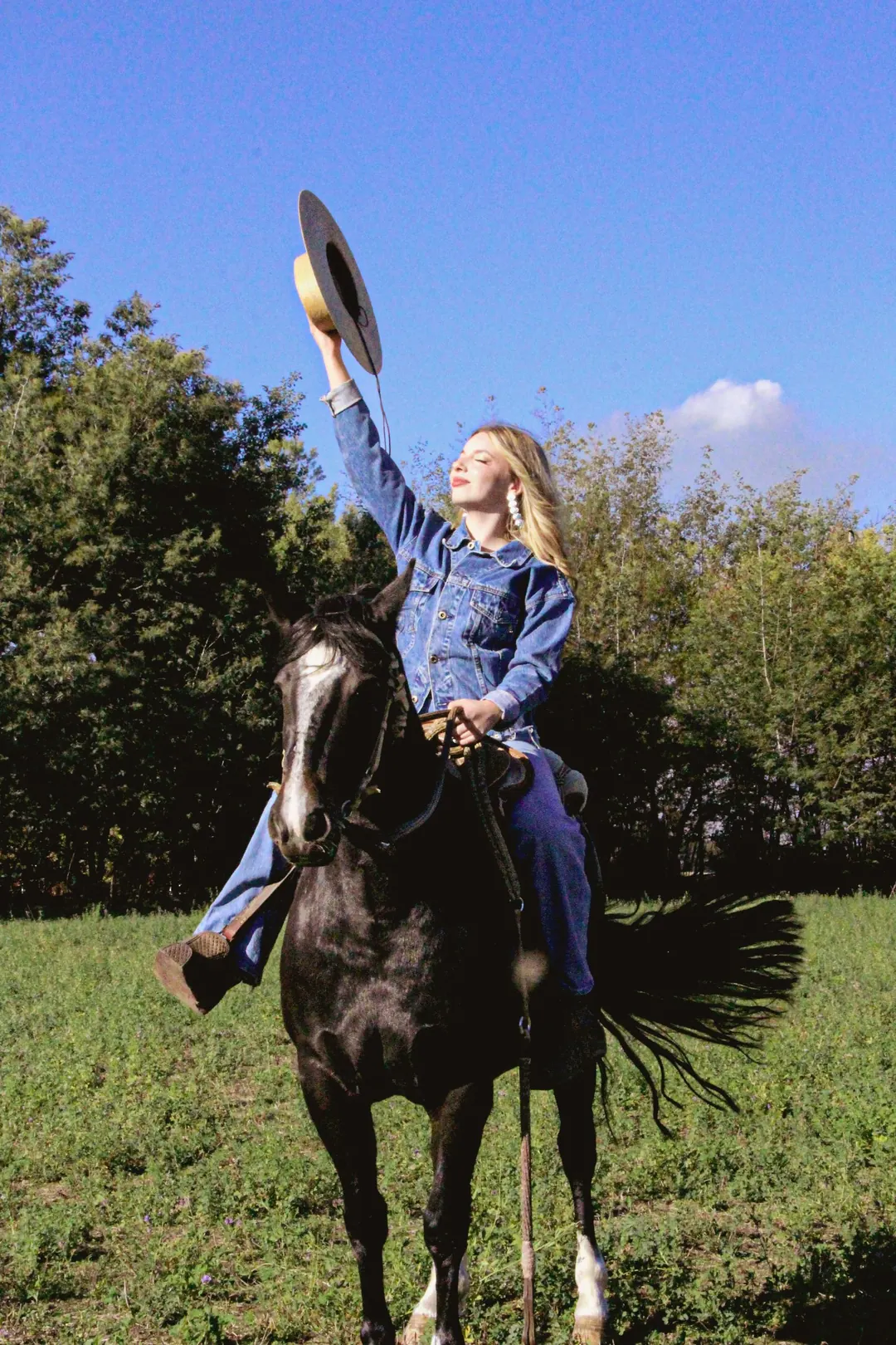 Retrato a caballo, sombrero en alto
